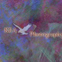 KEA Photography