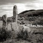 Kealkill Stone Circle II - Sepia