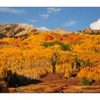 Kebler Pass bei Crested Butte