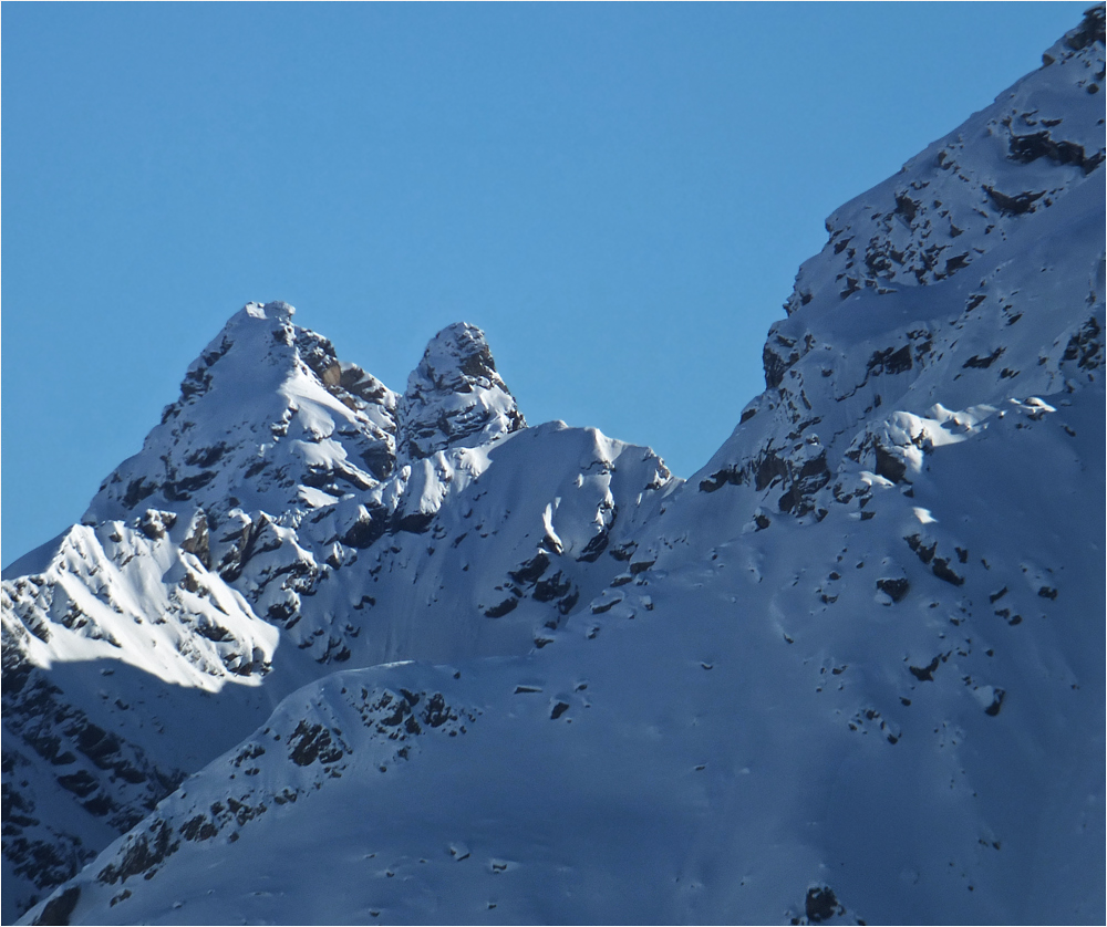 Kecke Hörner im Winter...