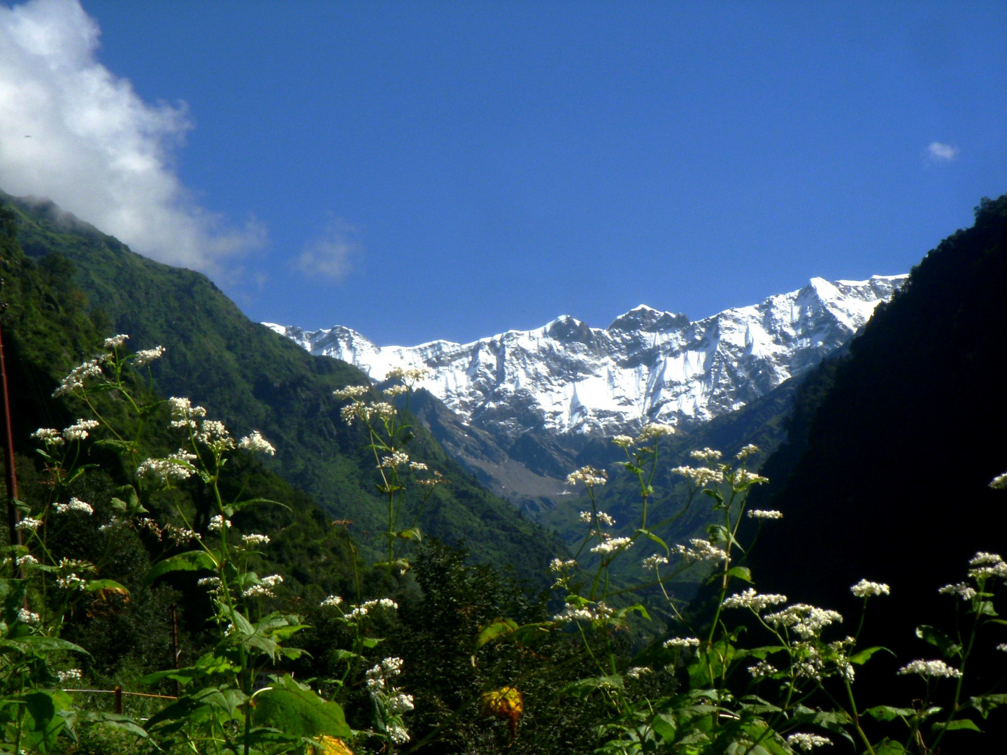 kedrnath......first view.....still 8km to trek....