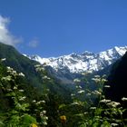 kedrnath......first view.....still 8km to trek....