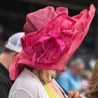 Keeneland Kentucky Horserace