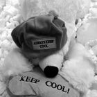 Keep Cool