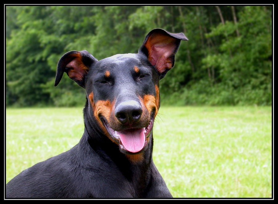 Keep Smiling !!! by Oliver Böse