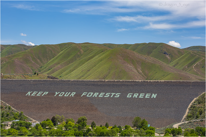 KEEP YOUR FORESTS GREEN 8