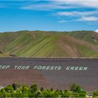 KEEP YOUR FORESTS GREEN 8