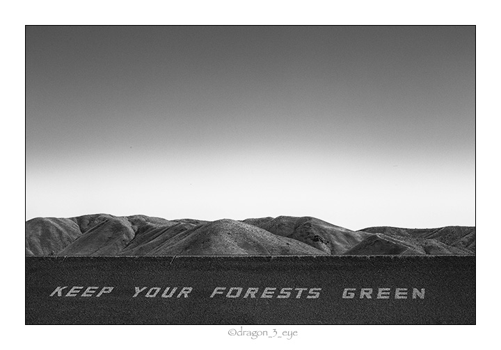 KEEP YOUR FORESTS GREEN 