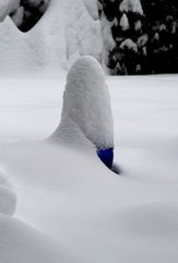 KEGEL-KUGEL NACH SCHNEESTURM