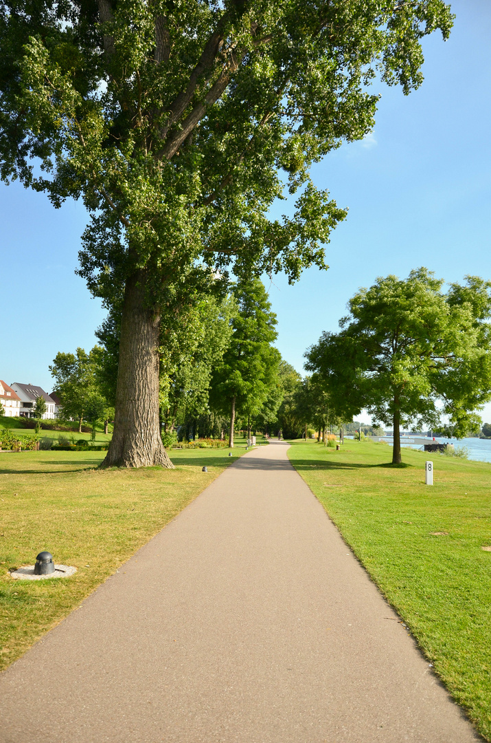 Kehl am Rhein