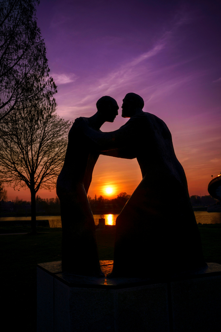 Kehl in den Rheinauen am Abend 