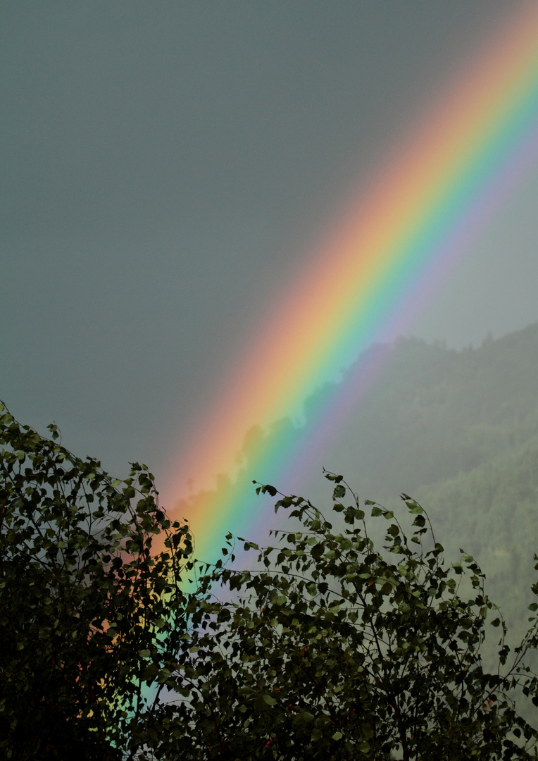 Kehrseite von einem Sommer Gewitter