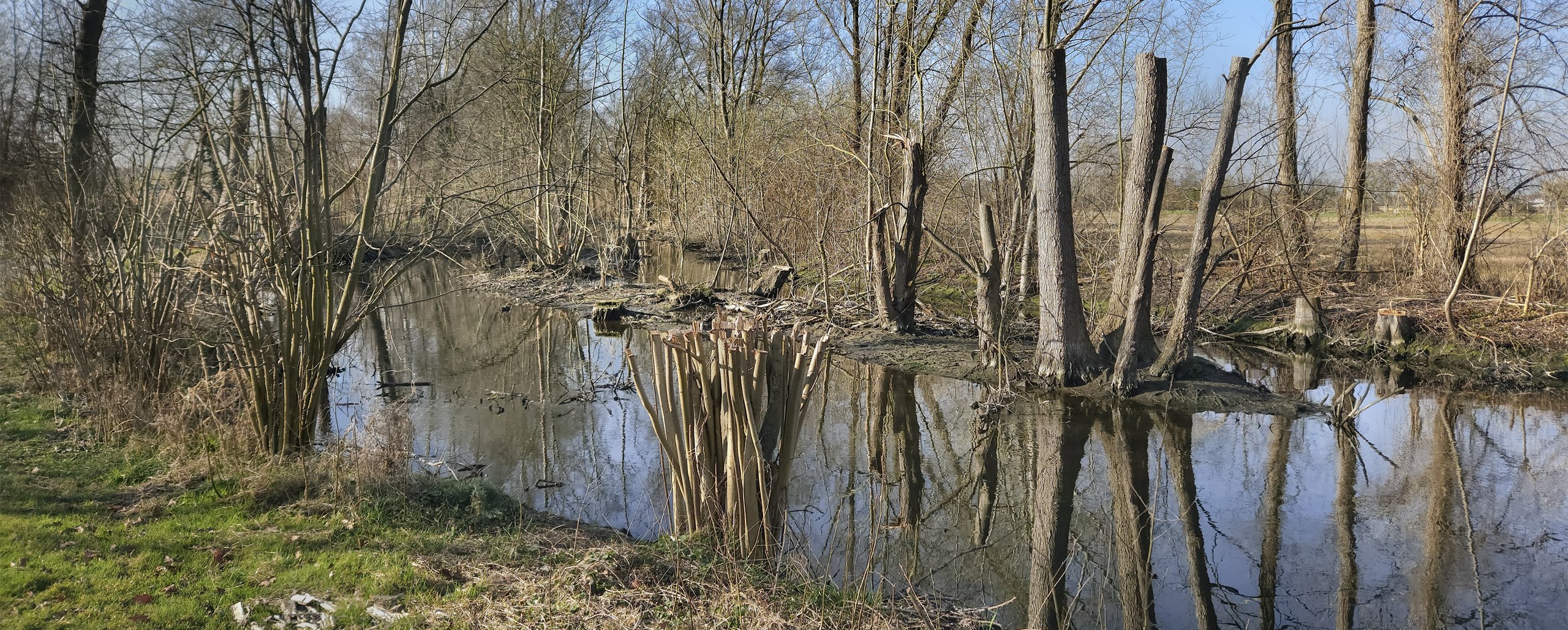 Kehrtwendung um 180 Grad - der Blick in die andere Richtung