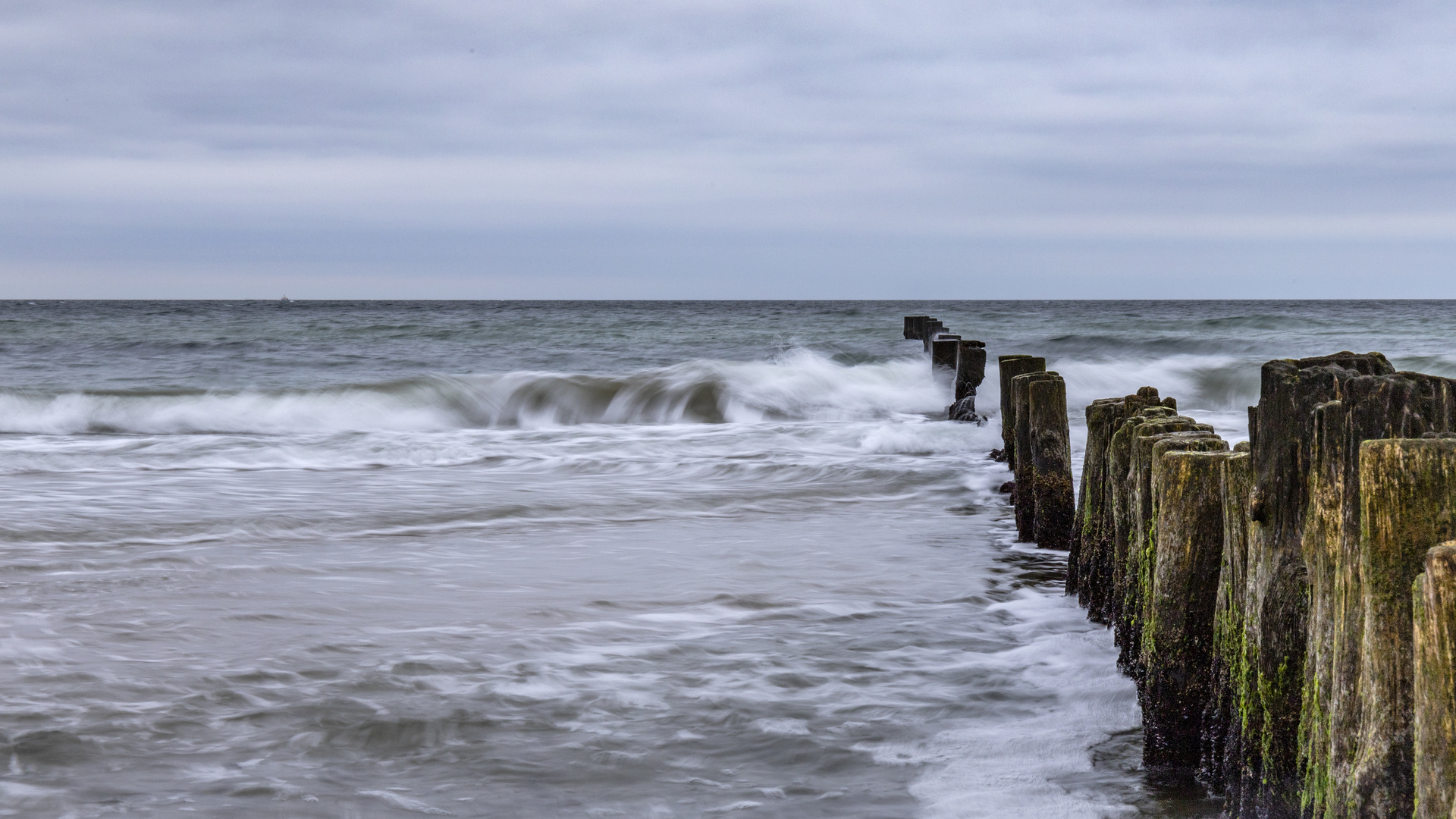 kein Badewetter (2)