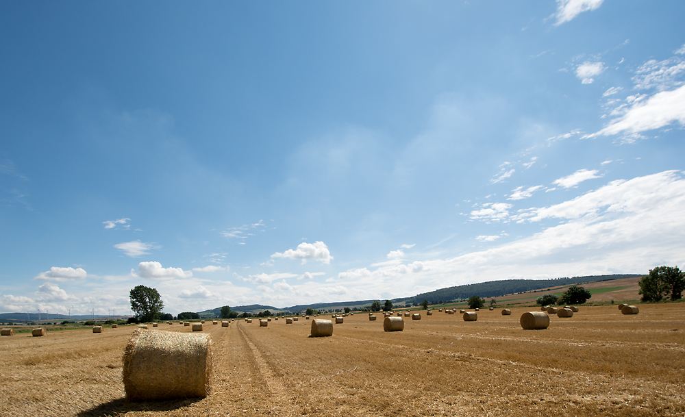 Kein Bett im Kornfeld...