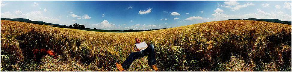 kein Bett im Kornfeld