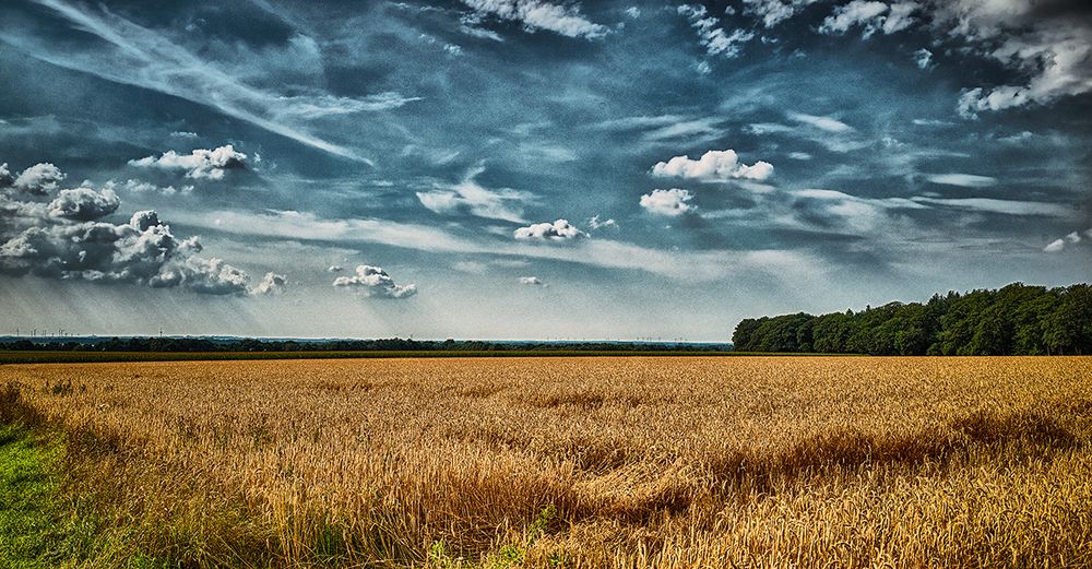 Kein Bett im Kornfeld