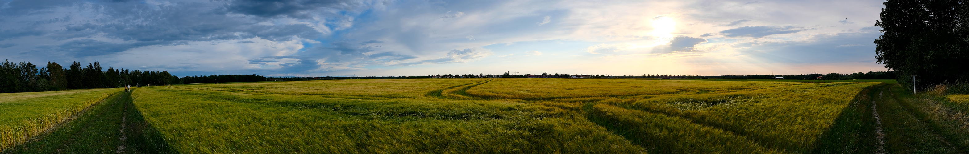 Kein Bett im Kornfeld