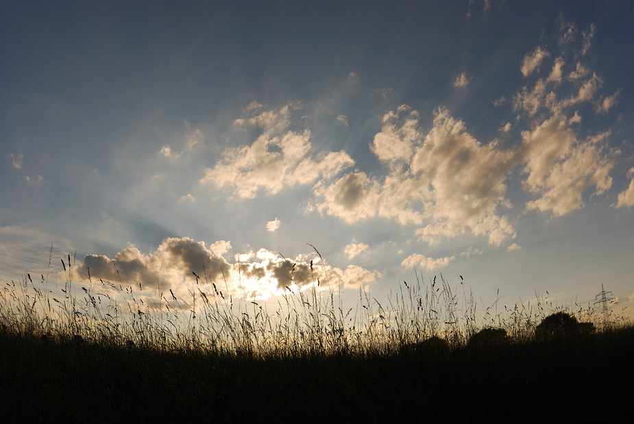 kein Bett im Kornfeld