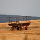 (K)ein Bett im Kornfeld?