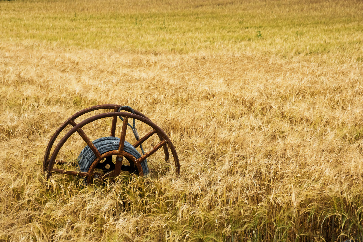 Kein Bett im Kornfeld, sondern ......