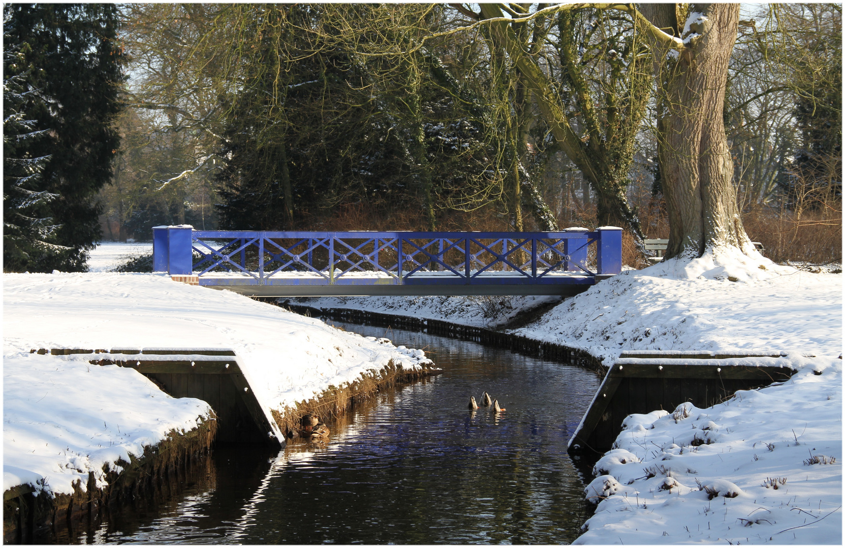 kein blaues Wunder ... der Winter in Oldenburg