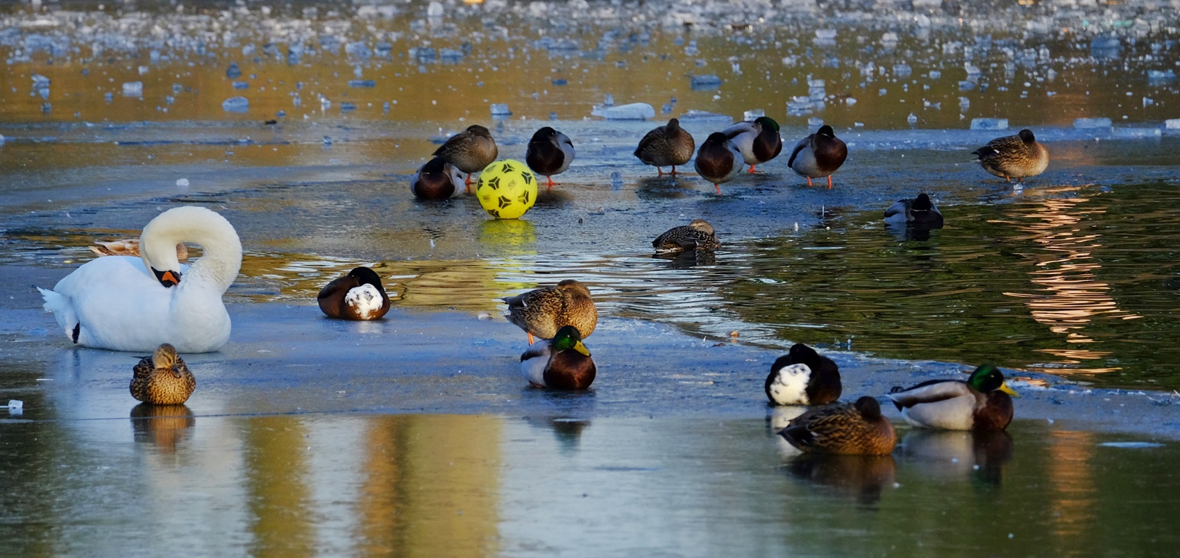 Kein Bock auf Fußball