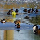 Kein Bock auf Fußball