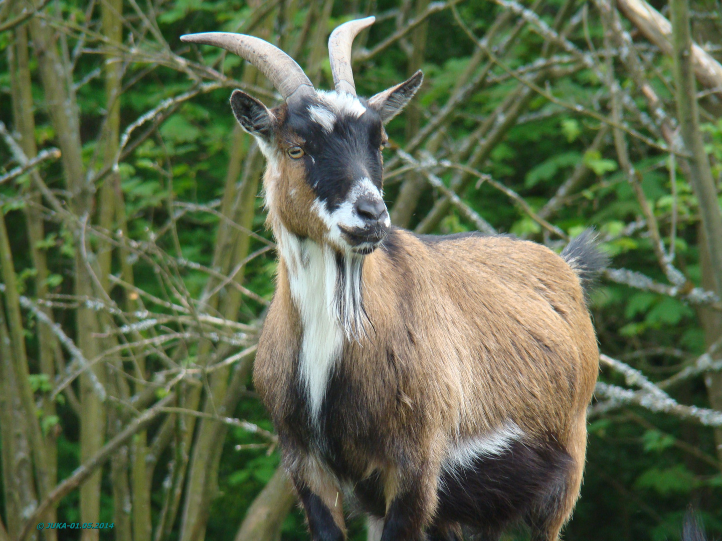 Kein Bock auf Maiwanderung?