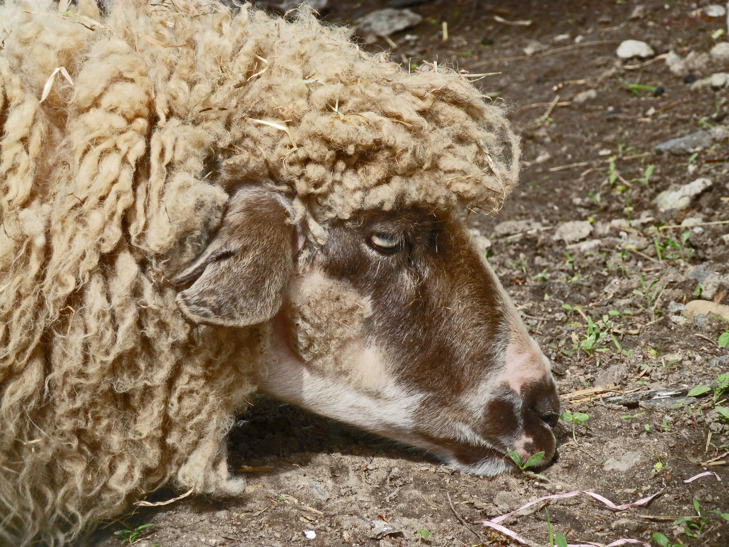 Kein Bock auf Montag