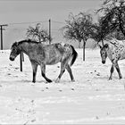 kein Bock mehr auf Winter