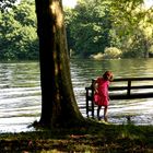 kein Bootsverkehr zur Roseninsel