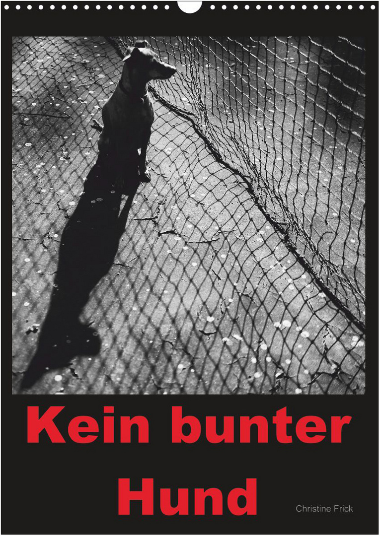 Kein bunter Hund