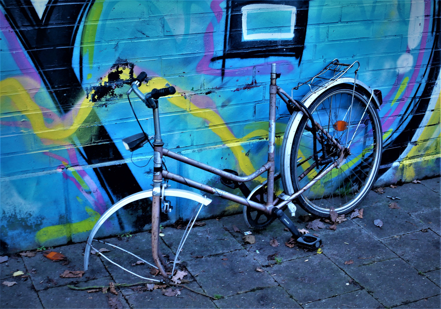 Kein Einzelfall - radloses Fahrradwrack in Münster