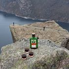 Kein Elch- Preikestolen