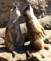 ...kein feierabend in sicht...