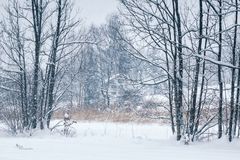 Kein Filter - Schneetreiben