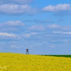 Kein Flieger am Himmel 