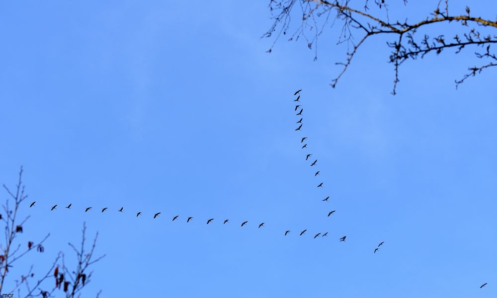 Kein Flug ins Blaue