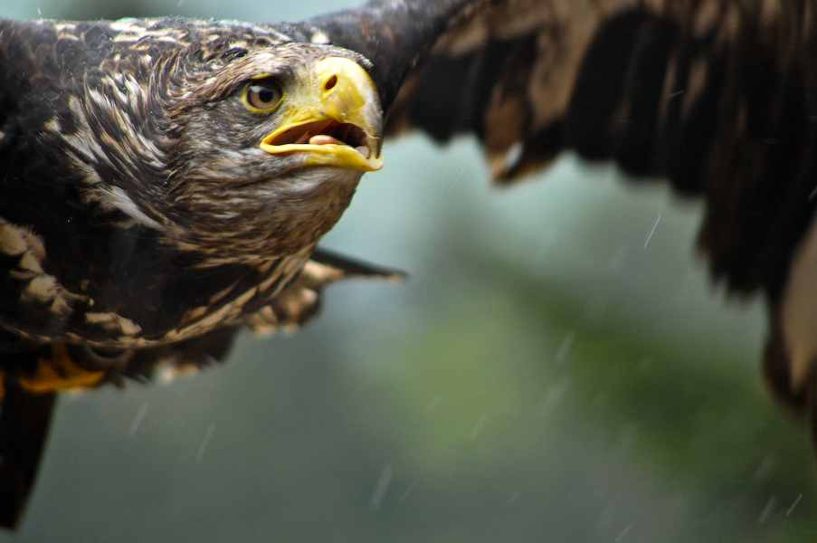 Kein Flugwetter