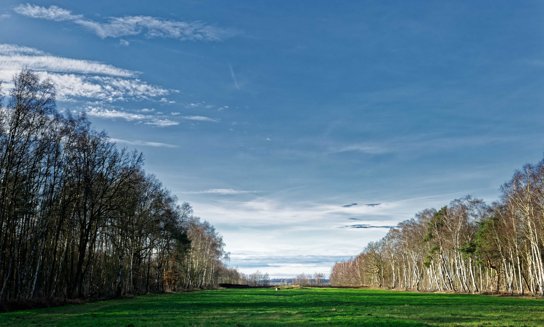 Kein Frühling 2 :)