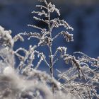 Kein Frühling in Sicht ...