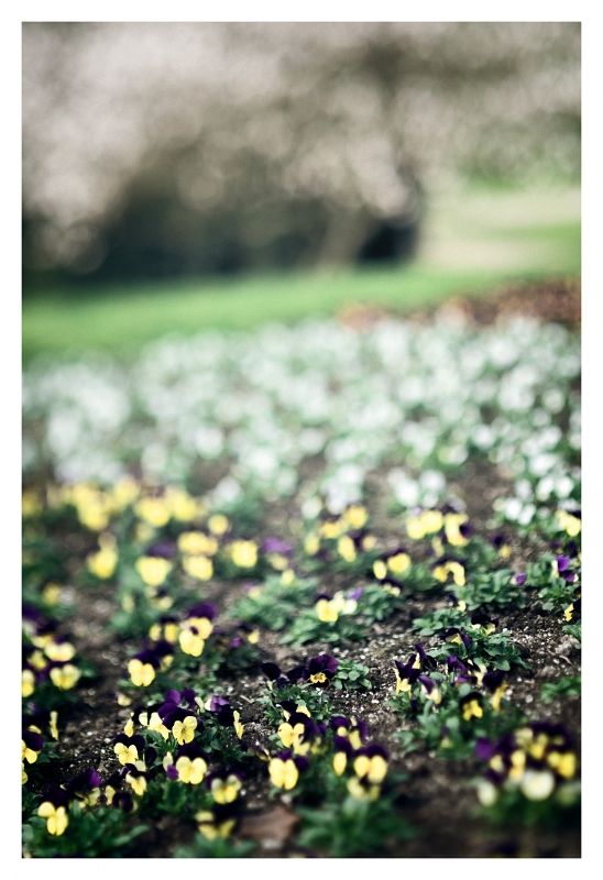 (kein) Frühling in Sicht