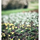 (kein) Frühling in Sicht