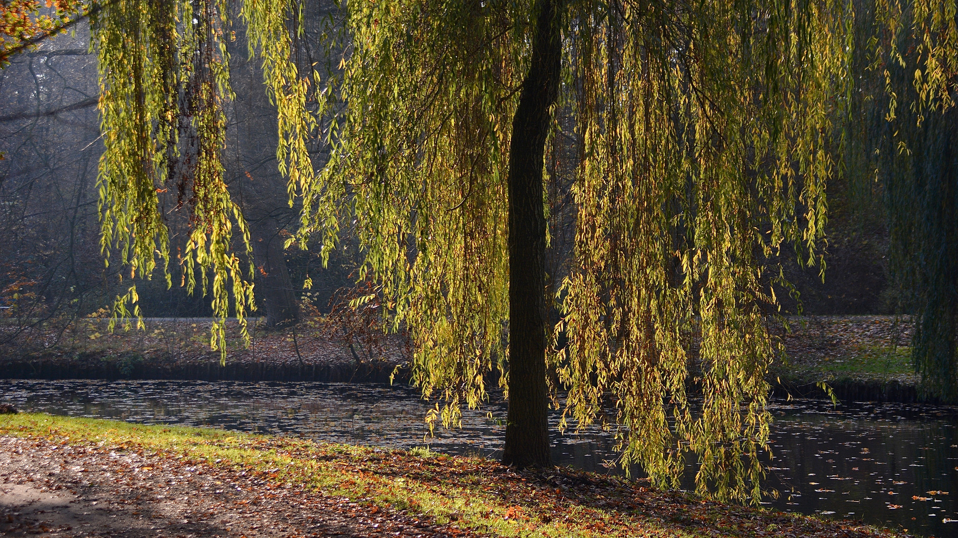 Kein Grund, über diesen November zu trauern