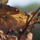 kein gutes Versteck