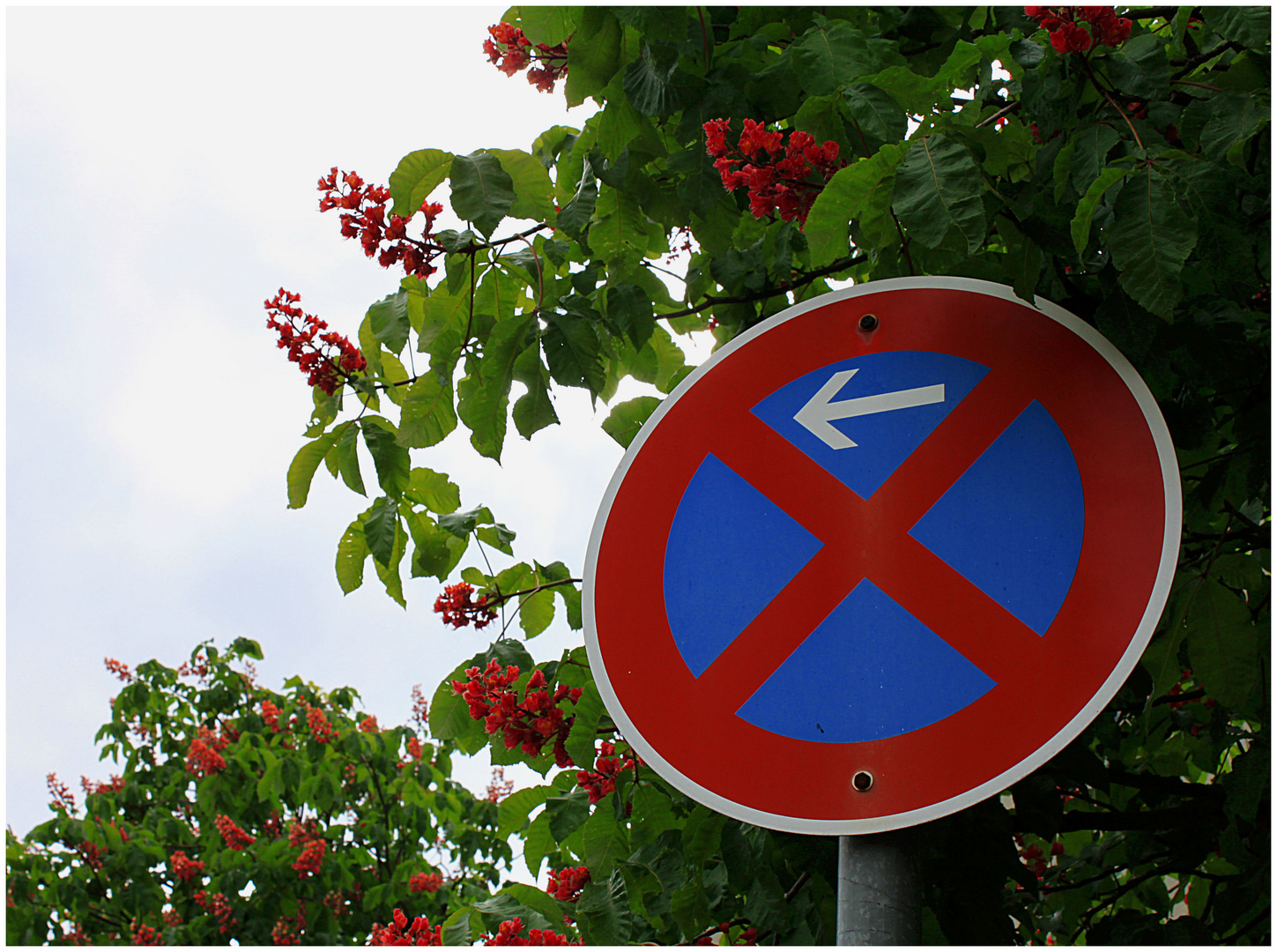 kein Halt für den Frühling