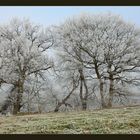 Kein Hauch von Frühling