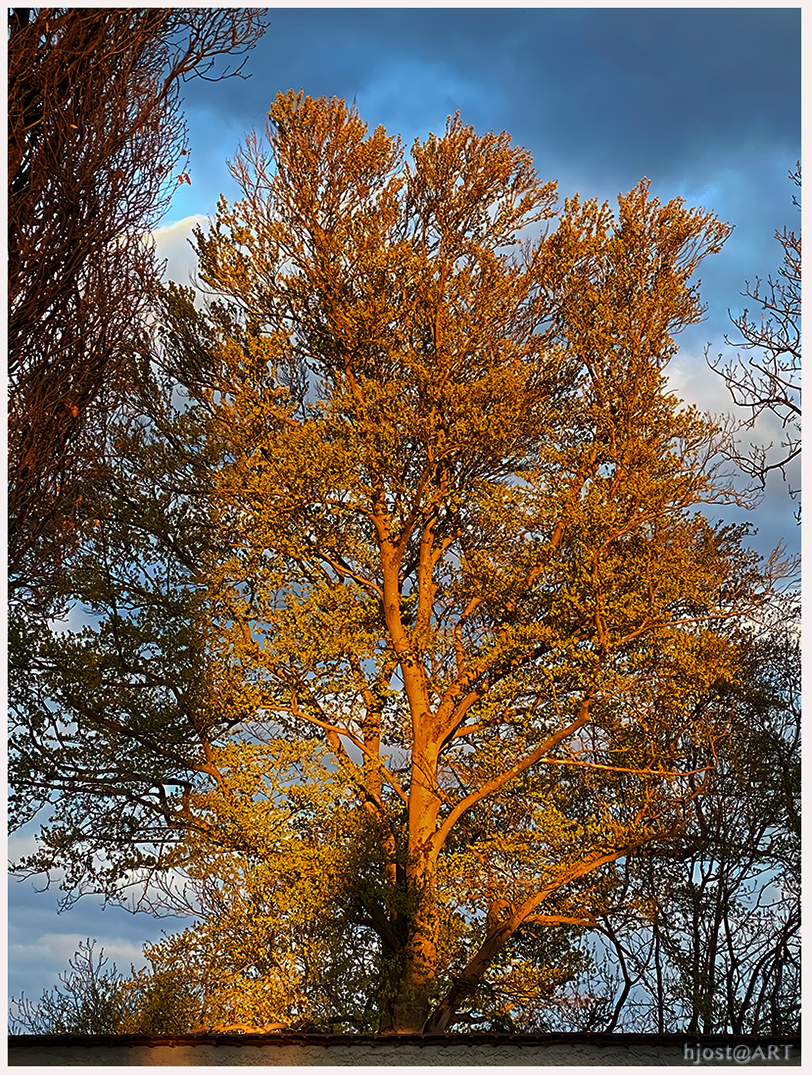 KEIN Herbstbild ....