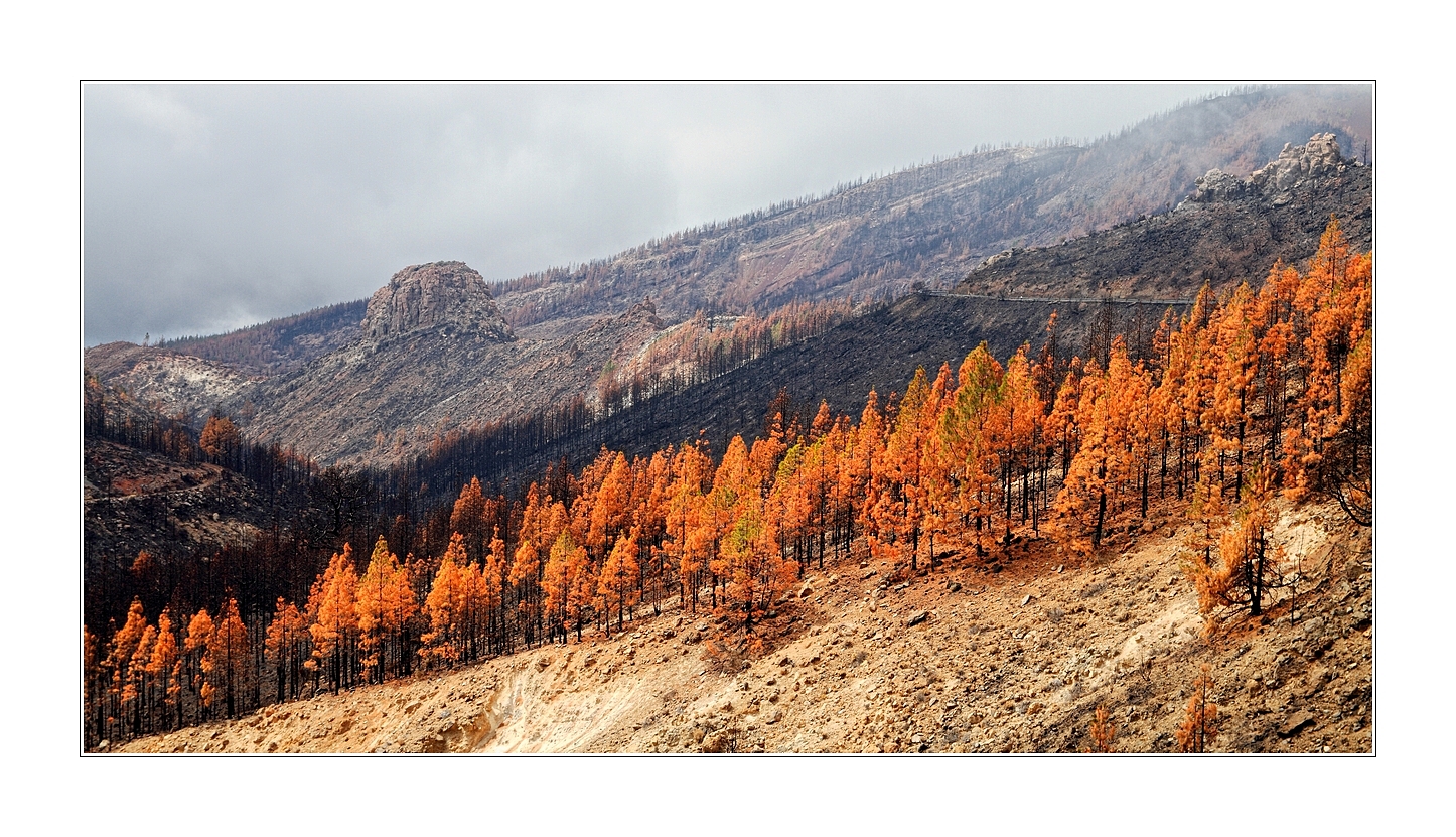 Kein Herbstfoto,